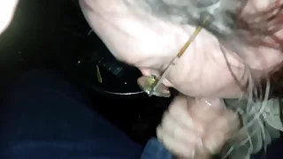 Grey harlot renowned head